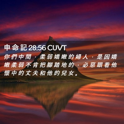 Picture 02 - 申 命 記 28:56 CUVT - 你 們 中 間 ， 柔 弱 嬌 嫩 的 婦 人 - Bible Verse Picture