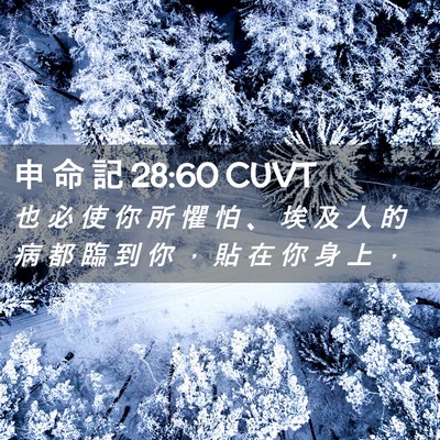 Picture 02 - 申 命 記 28:60 CUVT - 也 必 使 你 所 懼 怕 、 埃 及 人 的 - Bible Verse Picture