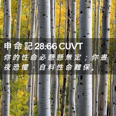 Picture 02 - 申 命 記 28:66 CUVT - 你 的 性 命 必 懸 懸 無 定 ； 你 晝 - Bible Verse Picture