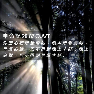 Picture 02 - 申 命 記 28:67 CUVT - 你 因 心 裡 所 恐 懼 的 ， 眼 中 所 - Bible Verse Picture
