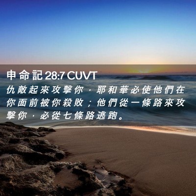 Picture 02 - 申 命 記 28:7 CUVT - 仇 敵 起 來 攻 擊 你 ， 耶 和 華 必 - Bible Verse Picture