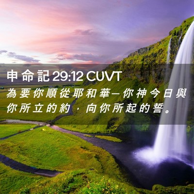 Picture 02 - 申 命 記 29:12 CUVT - 為 要 你 順 從 耶 和 華 ─ 你 神 今 - Bible Verse Picture