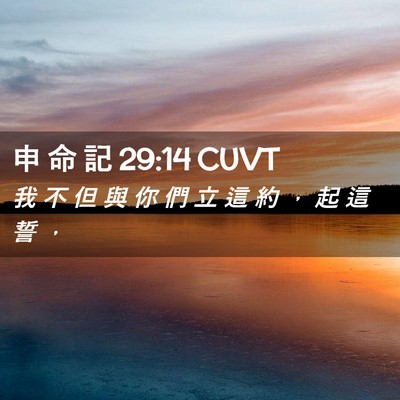 Picture 02 - 申 命 記 29:14 CUVT - 我 不 但 與 你 們 立 這 約 ， 起 這 - Bible Verse Picture