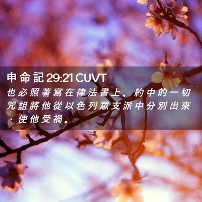 Picture 02 - 申 命 記 29:21 CUVT - 也 必 照 著 寫 在 律 法 書 上 、 約 - Bible Verse Picture