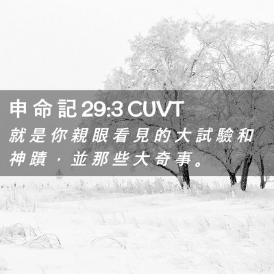 Picture 02 - 申 命 記 29:3 CUVT - 就 是 你 親 眼 看 見 的 大 試 驗 和 - Bible Verse Picture