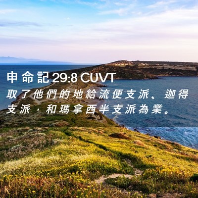 Picture 02 - 申 命 記 29:8 CUVT - 取 了 他 們 的 地 給 流 便 支 派 、 - Bible Verse Picture