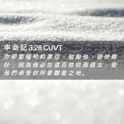 Picture 02 - 申 命 記 3:28 CUVT - 你 卻 要 囑 咐 約 書 亞 ， 勉 勵 他 - Bible Verse Picture