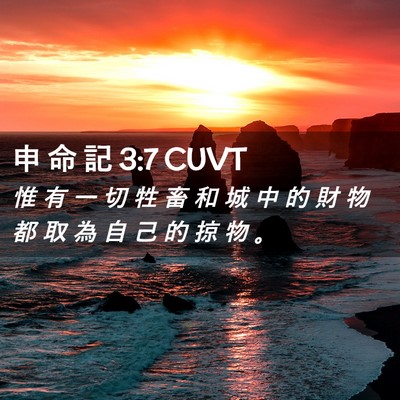 Picture 02 - 申 命 記 3:7 CUVT - 惟 有 一 切 牲 畜 和 城 中 的 財 物 - Bible Verse Picture