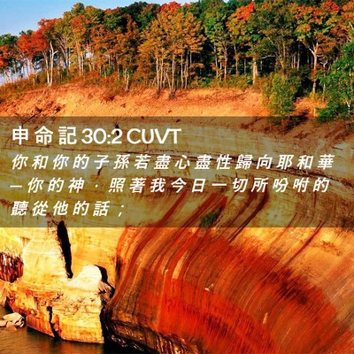 Picture 02 - 申 命 記 30:2 CUVT - 你 和 你 的 子 孫 若 盡 心 盡 性 歸 - Bible Verse Picture