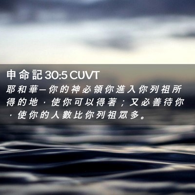 Picture 02 - 申 命 記 30:5 CUVT - 耶 和 華 ─ 你 的 神 必 領 你 進 入 - Bible Verse Picture