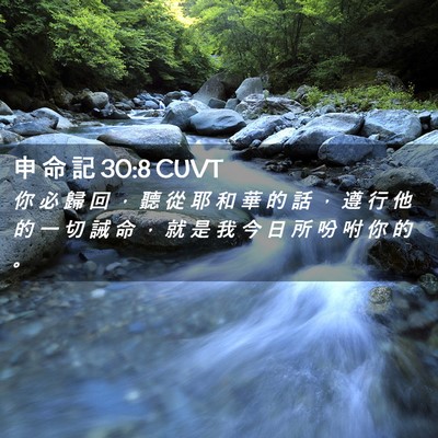 Picture 02 - 申 命 記 30:8 CUVT - 你 必 歸 回 ， 聽 從 耶 和 華 的 話 - Bible Verse Picture