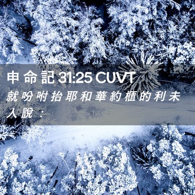 Picture 02 - 申 命 記 31:25 CUVT - 就 吩 咐 抬 耶 和 華 約 櫃 的 利 未 - Bible Verse Picture