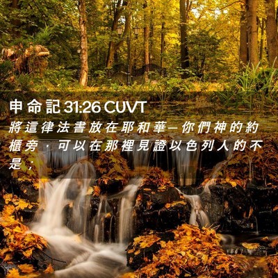 Picture 02 - 申 命 記 31:26 CUVT - 將 這 律 法 書 放 在 耶 和 華 ─ 你 - Bible Verse Picture