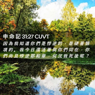 Picture 02 - 申 命 記 31:27 CUVT - 因 為 我 知 道 你 們 是 悖 逆 的 ， - Bible Verse Picture
