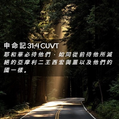 Picture 02 - 申 命 記 31:4 CUVT - 耶 和 華 必 待 他 們 ， 如 同 從 前 - Bible Verse Picture