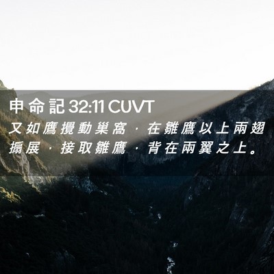 Picture 02 - 申 命 記 32:11 CUVT - 又 如 鷹 攪 動 巢 窩 ， 在 雛 鷹 以 - Bible Verse Picture