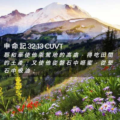 Picture 02 - 申 命 記 32:13 CUVT - 耶 和 華 使 他 乘 駕 地 的 高 處 ， - Bible Verse Picture