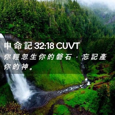 Picture 02 - 申 命 記 32:18 CUVT - 你 輕 忽 生 你 的 磐 石 ， 忘 記 產 - Bible Verse Picture