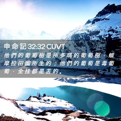 Picture 02 - 申 命 記 32:32 CUVT - 他 們 的 葡 萄 樹 是 所 多 瑪 的 葡 - Bible Verse Picture