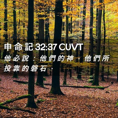 Picture 02 - 申 命 記 32:37 CUVT - 他 必 說 ： 他 們 的 神 ， 他 們 所 - Bible Verse Picture