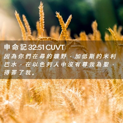 Picture 02 - 申 命 記 32:51 CUVT - 因 為 你 們 在 尋 的 曠 野 ， 加 低 - Bible Verse Picture