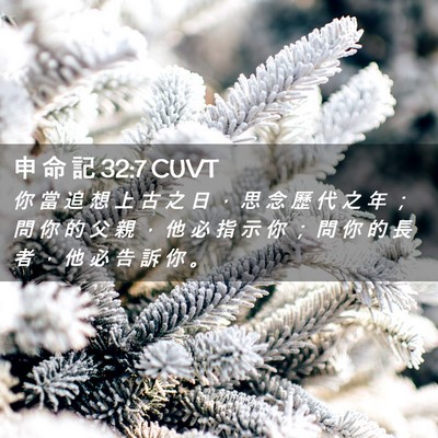 Picture 02 - 申 命 記 32:7 CUVT - 你 當 追 想 上 古 之 日 ， 思 念 歷 - Bible Verse Picture