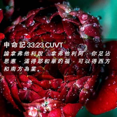 Picture 02 - 申 命 記 33:23 CUVT - 論 拿 弗 他 利 說 ： 拿 弗 他 利 阿 - Bible Verse Picture