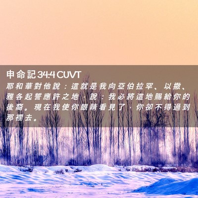 Picture 02 - 申 命 記 34:4 CUVT - 耶 和 華 對 他 說 ： 這 就 是 我 向 - Bible Verse Picture