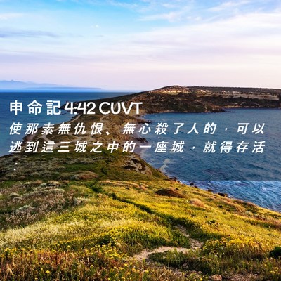 Picture 02 - 申 命 記 4:42 CUVT - 使 那 素 無 仇 恨 、 無 心 殺 了 人 - Bible Verse Picture