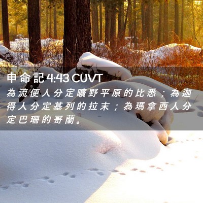 Picture 02 - 申 命 記 4:43 CUVT - 為 流 便 人 分 定 曠 野 平 原 的 比 - Bible Verse Picture