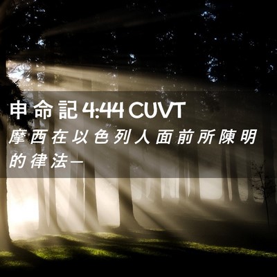 Picture 02 - 申 命 記 4:44 CUVT - 摩 西 在 以 色 列 人 面 前 所 陳 明 - Bible Verse Picture