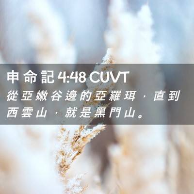 Picture 02 - 申 命 記 4:48 CUVT - 從 亞 嫩 谷 邊 的 亞 羅 珥 ， 直 到 - Bible Verse Picture