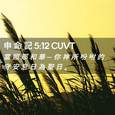 Picture 02 - 申 命 記 5:12 CUVT - 當 照 耶 和 華 ─ 你 神 所 吩 咐 的 - Bible Verse Picture
