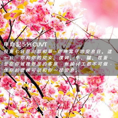 Picture 02 - 申 命 記 5:14 CUVT - 但 第 七 日 是 向 耶 和 華 ─ 你 神 - Bible Verse Picture