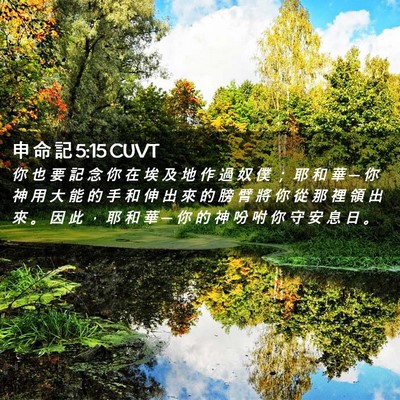 Picture 02 - 申 命 記 5:15 CUVT - 你 也 要 記 念 你 在 埃 及 地 作 過 - Bible Verse Picture