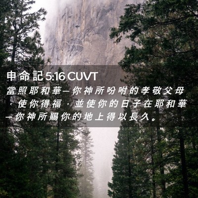 Picture 02 - 申 命 記 5:16 CUVT - 當 照 耶 和 華 ─ 你 神 所 吩 咐 的 - Bible Verse Picture