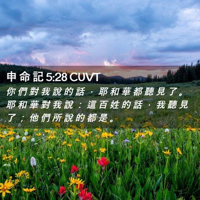 Picture 02 - 申 命 記 5:28 CUVT - 你 們 對 我 說 的 話 ， 耶 和 華 都 - Bible Verse Picture