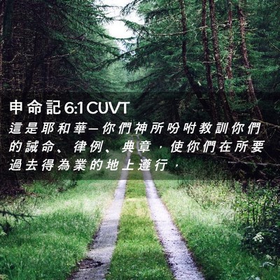 Picture 02 - 申 命 記 6:1 CUVT - 這 是 耶 和 華 ─ 你 們 神 所 吩 咐 - Bible Verse Picture
