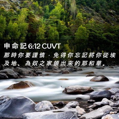 Picture 02 - 申 命 記 6:12 CUVT - 那 時 你 要 謹 慎 ， 免 得 你 忘 記 - Bible Verse Picture