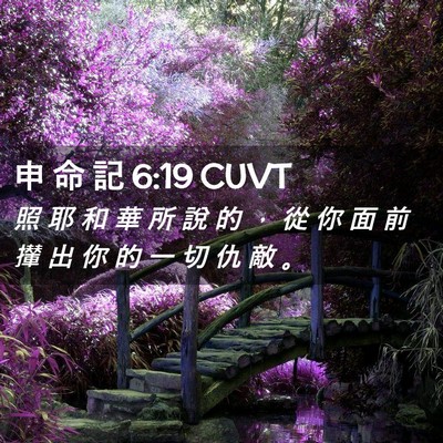 Picture 02 - 申 命 記 6:19 CUVT - 照 耶 和 華 所 說 的 ， 從 你 面 前 - Bible Verse Picture