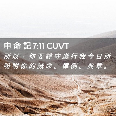 Picture 02 - 申 命 記 7:11 CUVT - 所 以 ， 你 要 謹 守 遵 行 我 今 日 - Bible Verse Picture