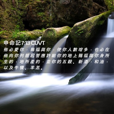Picture 02 - 申 命 記 7:13 CUVT - 他 必 愛 你 ， 賜 福 與 你 ， 使 你 - Bible Verse Picture