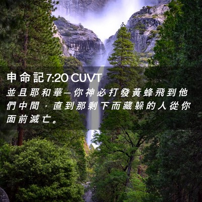Picture 02 - 申 命 記 7:20 CUVT - 並 且 耶 和 華 ─ 你 神 必 打 發 黃 - Bible Verse Picture