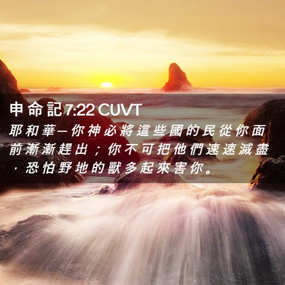 Picture 02 - 申 命 記 7:22 CUVT - 耶 和 華 ─ 你 神 必 將 這 些 國 的 - Bible Verse Picture