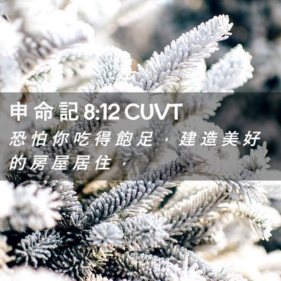 Picture 02 - 申 命 記 8:12 CUVT - 恐 怕 你 吃 得 飽 足 ， 建 造 美 好 - Bible Verse Picture