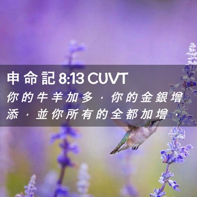 Picture 02 - 申 命 記 8:13 CUVT - 你 的 牛 羊 加 多 ， 你 的 金 銀 增 - Bible Verse Picture