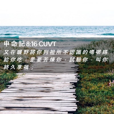 Picture 02 - 申 命 記 8:16 CUVT - 又 在 曠 野 將 你 列 祖 所 不 認 識 - Bible Verse Picture