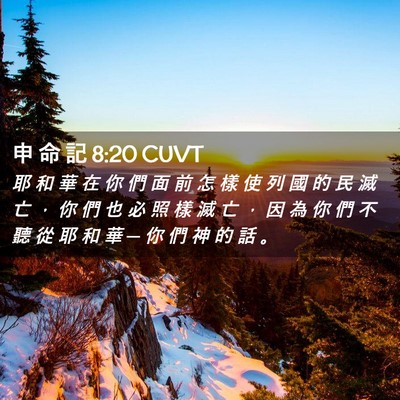 Picture 02 - 申 命 記 8:20 CUVT - 耶 和 華 在 你 們 面 前 怎 樣 使 列 - Bible Verse Picture