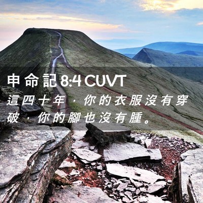Picture 02 - 申 命 記 8:4 CUVT - 這 四 十 年 ， 你 的 衣 服 沒 有 穿 - Bible Verse Picture