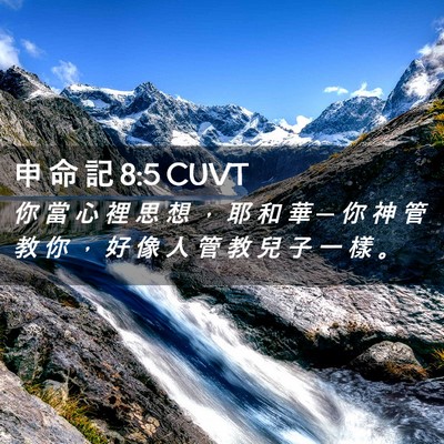 Picture 02 - 申 命 記 8:5 CUVT - 你 當 心 裡 思 想 ， 耶 和 華 ─ 你 - Bible Verse Picture